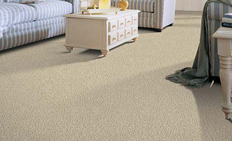 Polyester Carpet